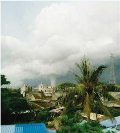 儋州最新爆料  第1张